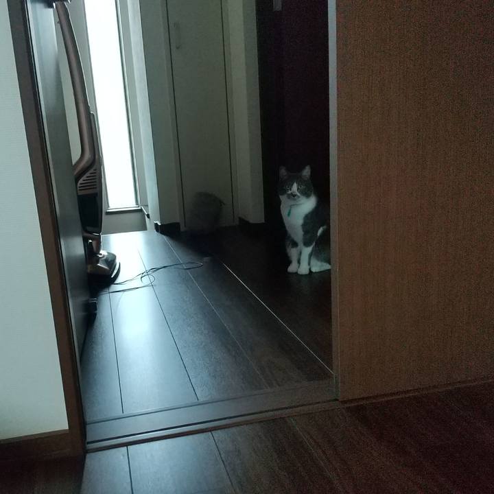 35d0a331 0a24 436c 9aed 41c315ef6e18 1631929435387