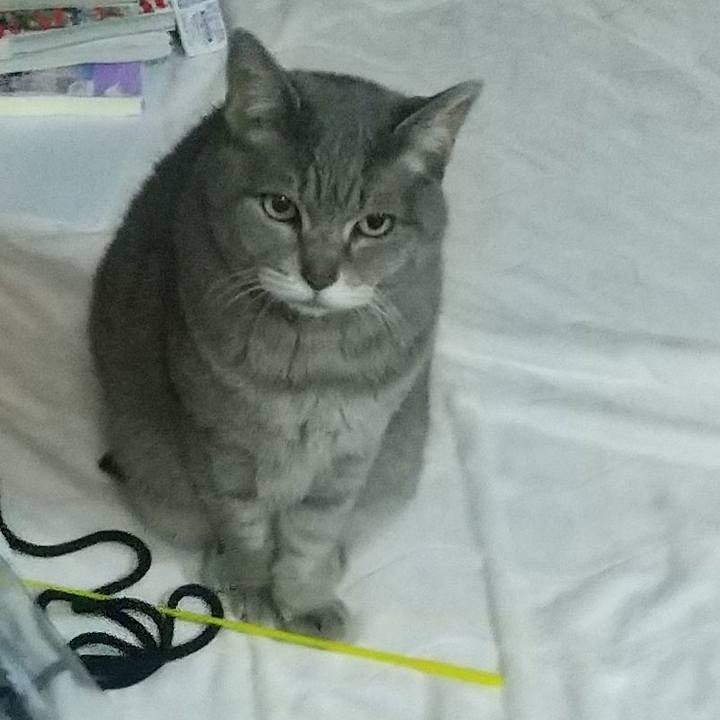 35d0bbbf 553e 4d2b 94eb 471d297895eb 1671913378663