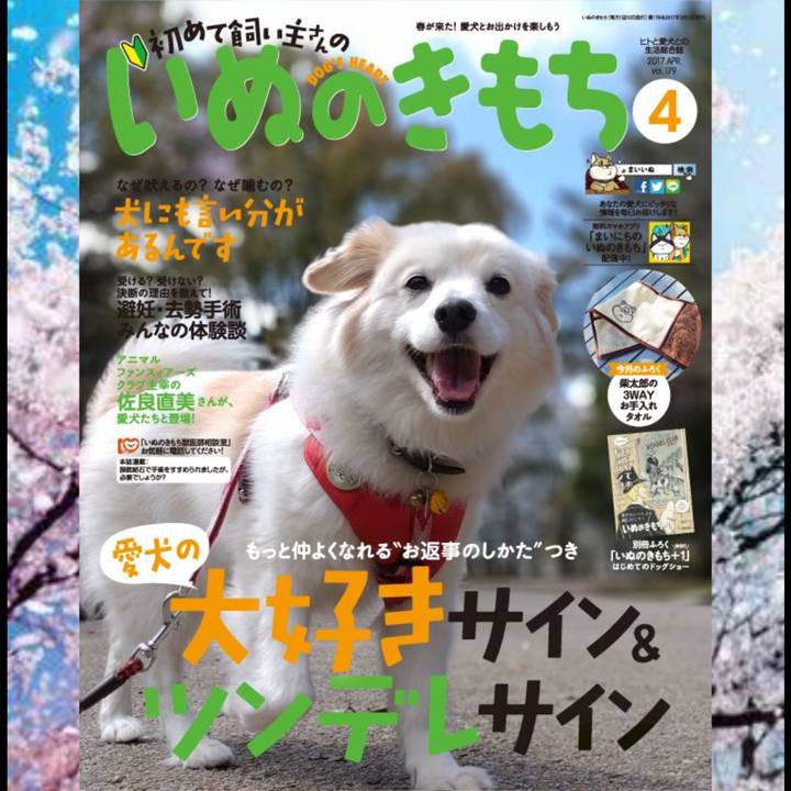 35d0f756 79a9 4bf8 8bda 6a96619ffe97 1648092223731