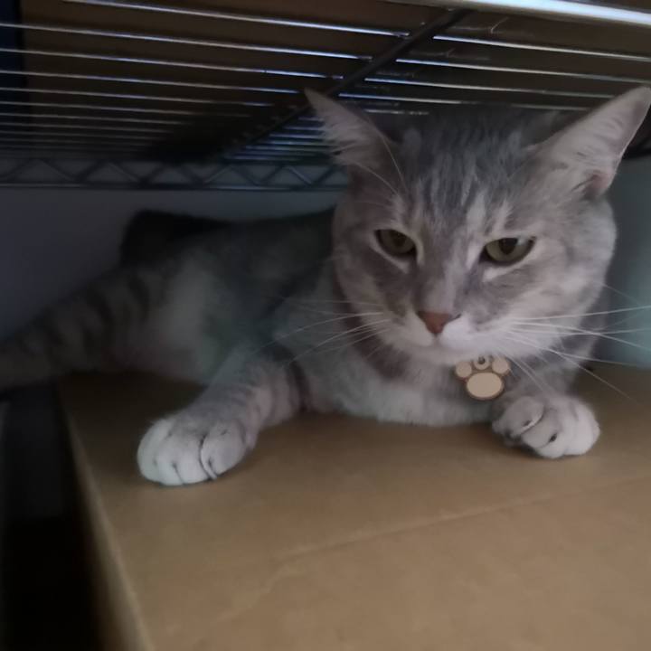 35d0f994 d4a1 4f8f aed9 f4d3182fb780 1558505000712