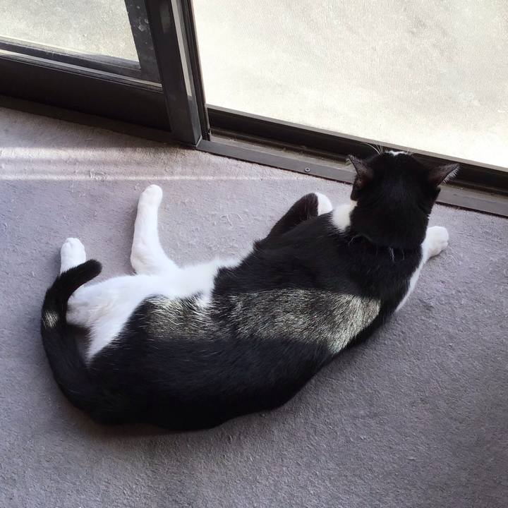 35d143a9 de38 4005 bf4e 663f62a812f2 1759135330402