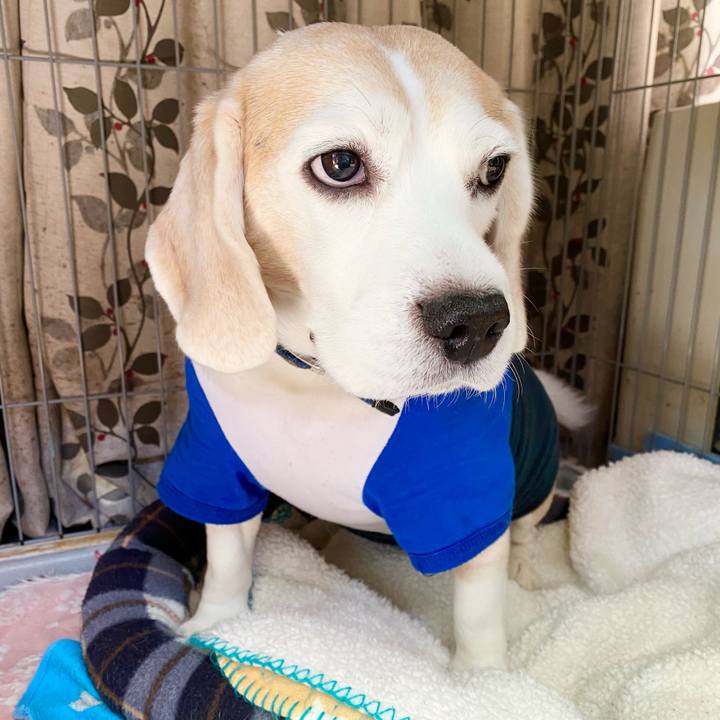 35d1642d d0be 45f0 8b6e f5862e8a3183 1618113110827