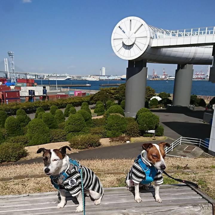 35d16a2d d2db 4063 96d0 b9f4082af3c4 1582436992187