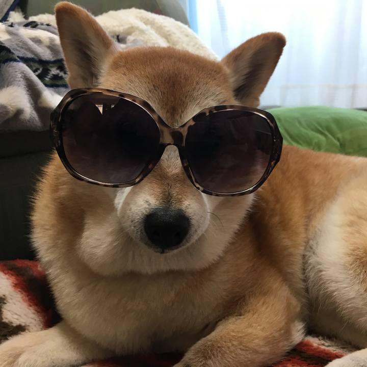 35d1a241 3e5e 4be6 9167 f76815234e9b 1525556926442