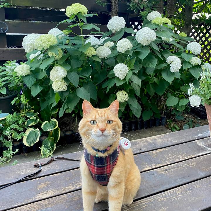 35d1abda 8ae3 4b7a 977a e265d4f316b5 1687593579836