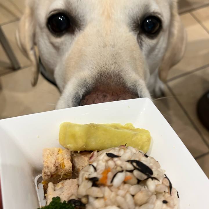 35d1f4b5 cc80 420c 981b 22008b6d23a6 1685779646249