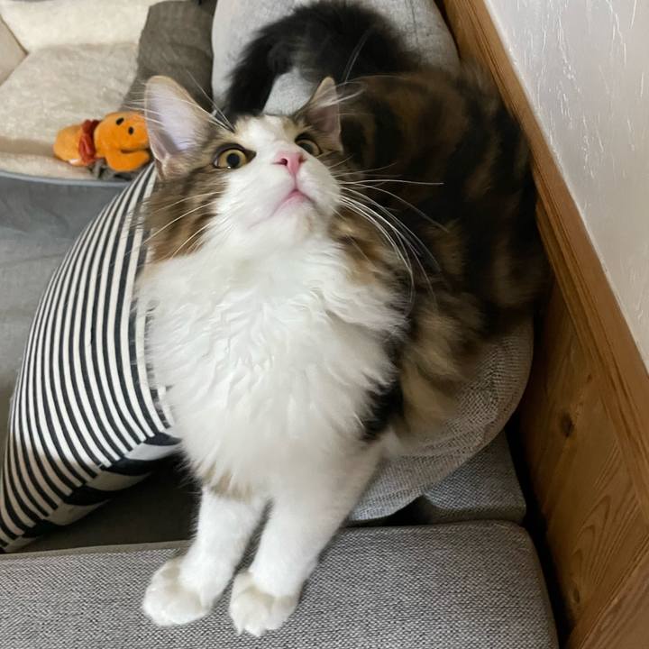 35d23a53 8764 4f35 9ae2 c1c09cc0d706 1637528309566