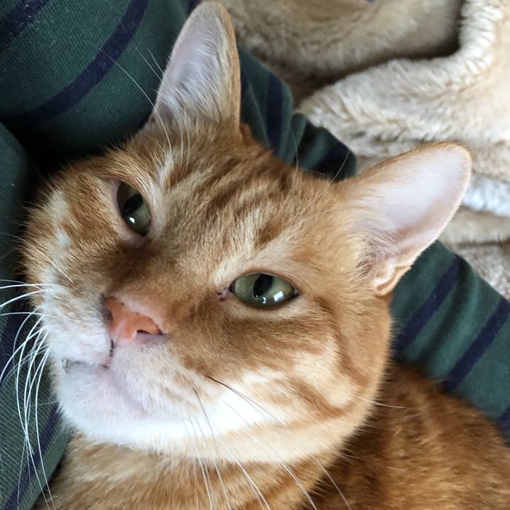 35d23d62 98e3 493f b827 59ee9281b220 1622452339163