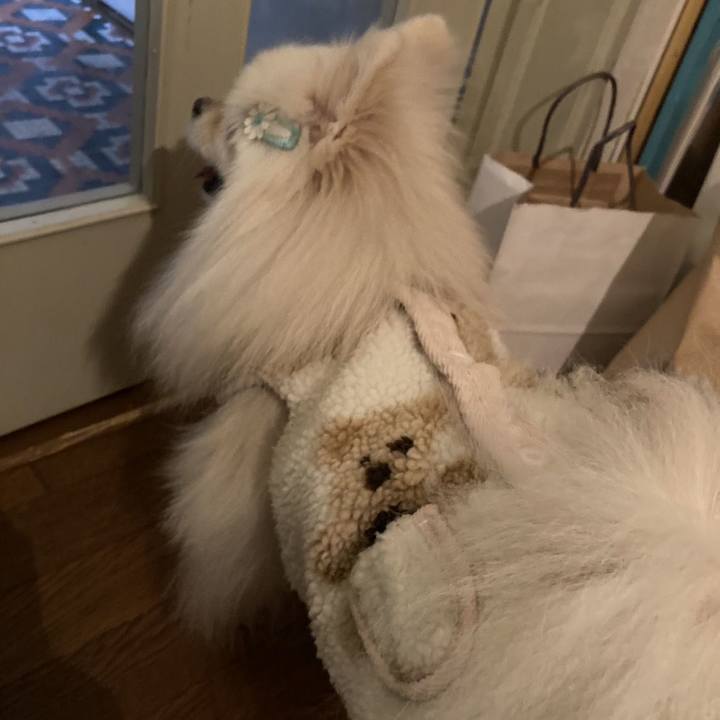 35d242ea e864 4221 a19d c8b91532d78c 1763814731863