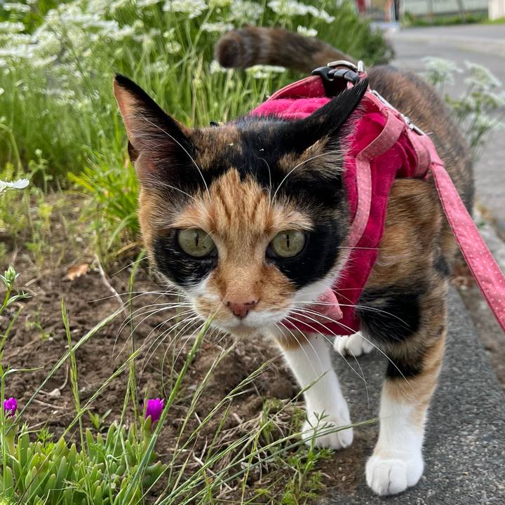 35d244af 7799 43fd 8e02 ba96aa448f0c 1685578652649