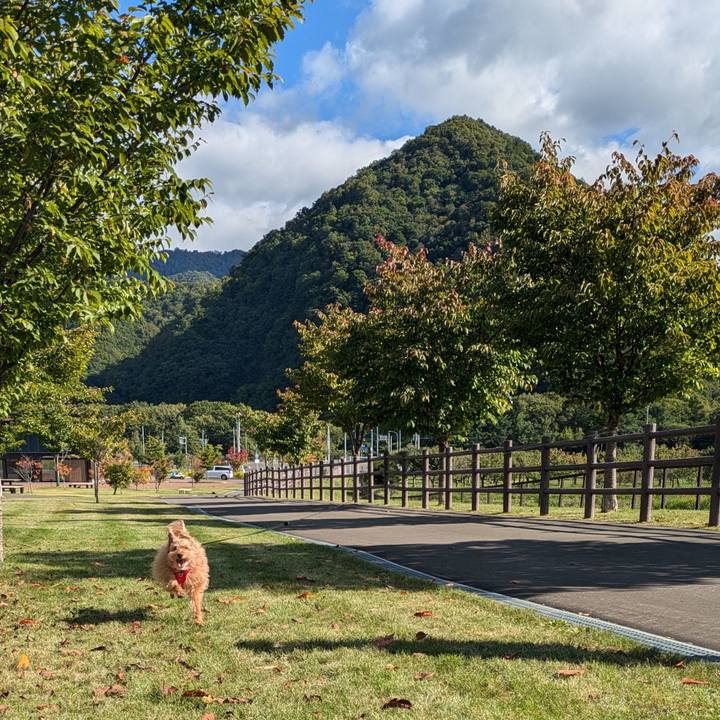 35d262c3 56f8 485b b2eb 7924a94c2914 1727049231786