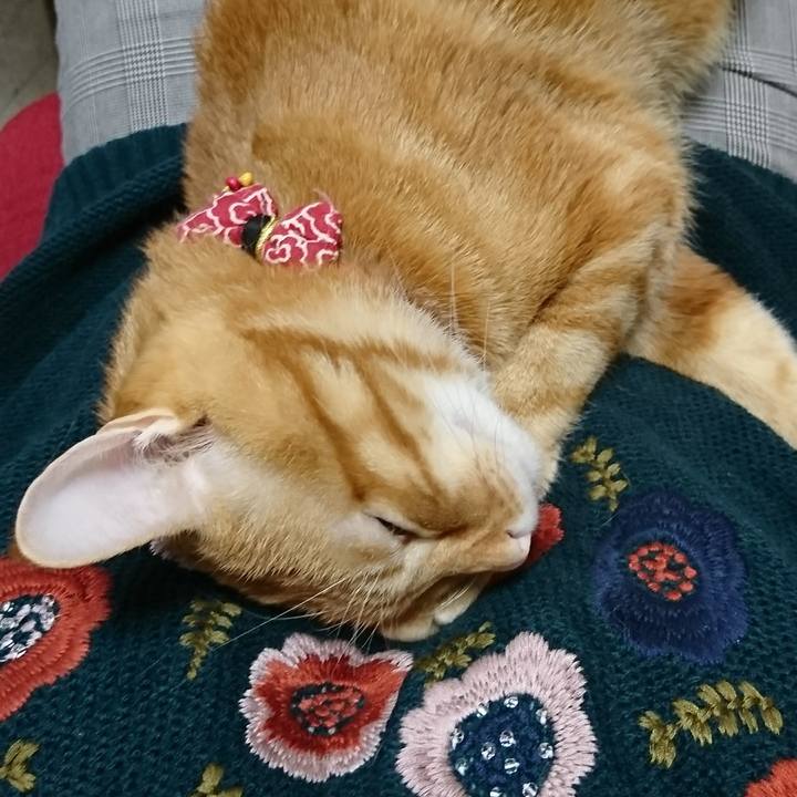 35d26655 409a 4f5a 9d98 688110351f9f 1509059052827