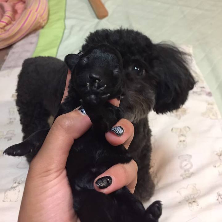 35d2756c b5c3 4e4c 9a97 0de4da86d5c7 1656109492932