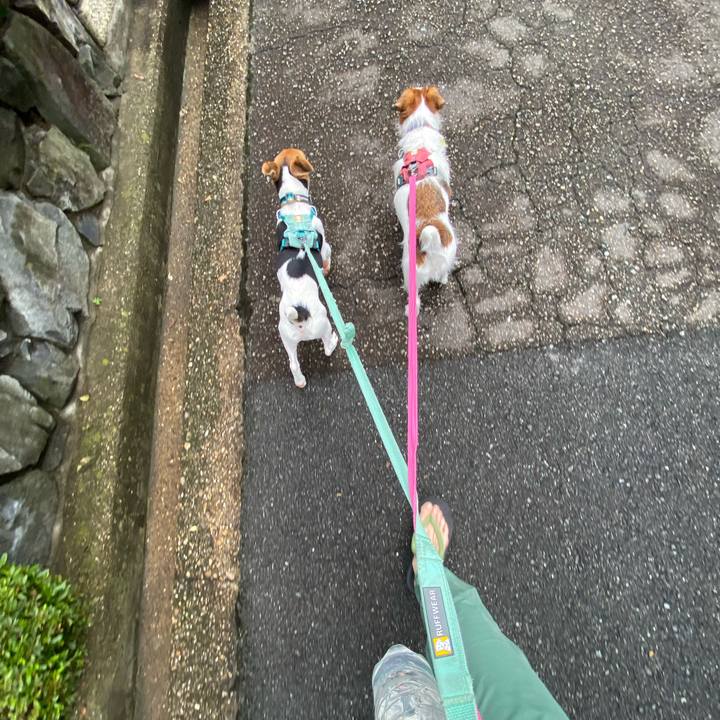 35d28d2f 8547 4ffd a457 1530b35a16a1 1749976590869