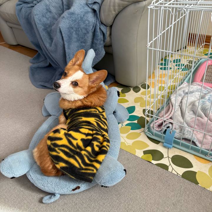 35d2b0f9 40b8 44eb a8e7 798ad8d6b865 1770344292732