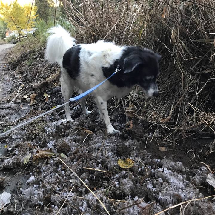 35d2cbd0 7774 4697 a6b7 502c98a8f910 1511226035266