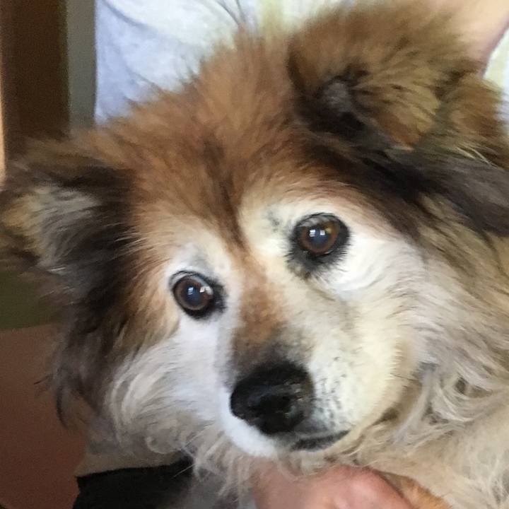 35d2d442 8fe5 4dfb 87dc f6083e8f9286 1567914230092