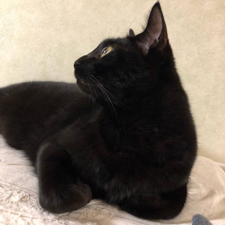 35d31c82 60f9 413e b490 4fc385542218 1535676429424