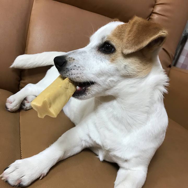 35d32ef8 438f 47b5 9fd3 c635bb902ebe 1551351284768