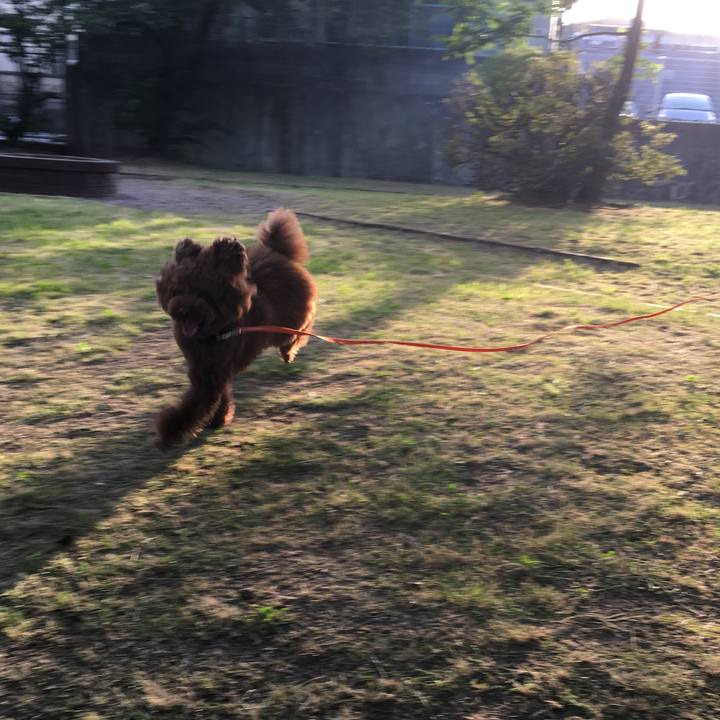 35d33343 2ec6 4537 bfdb 794d9345b0a3 1527371788332