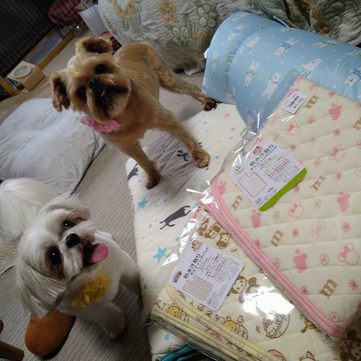 35d36975 9818 4073 9ddc 60f46e41c45e 1624341221462