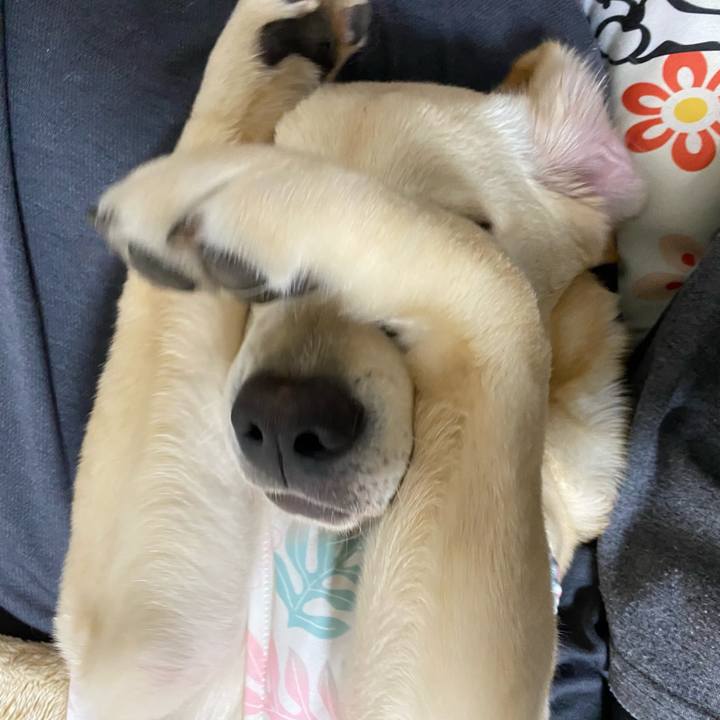 35d385e6 475e 4008 bc68 8d414e144740 1619823413658