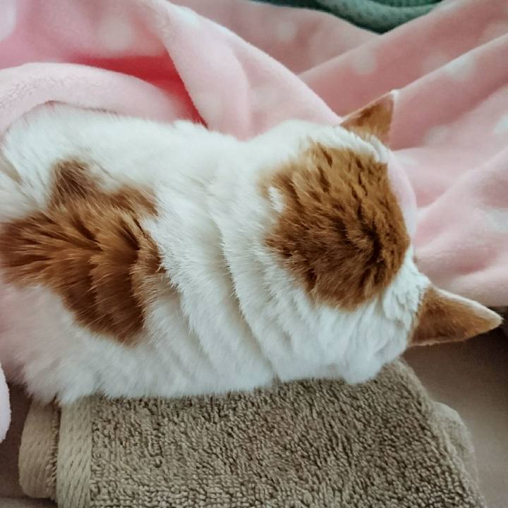 35d386fb b9ce 4848 af95 bbcde2c37238 1534375968385