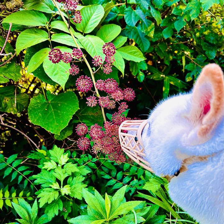 35d38a00 994d 4fd6 94c3 687b0c7e3a0f 1695072439133