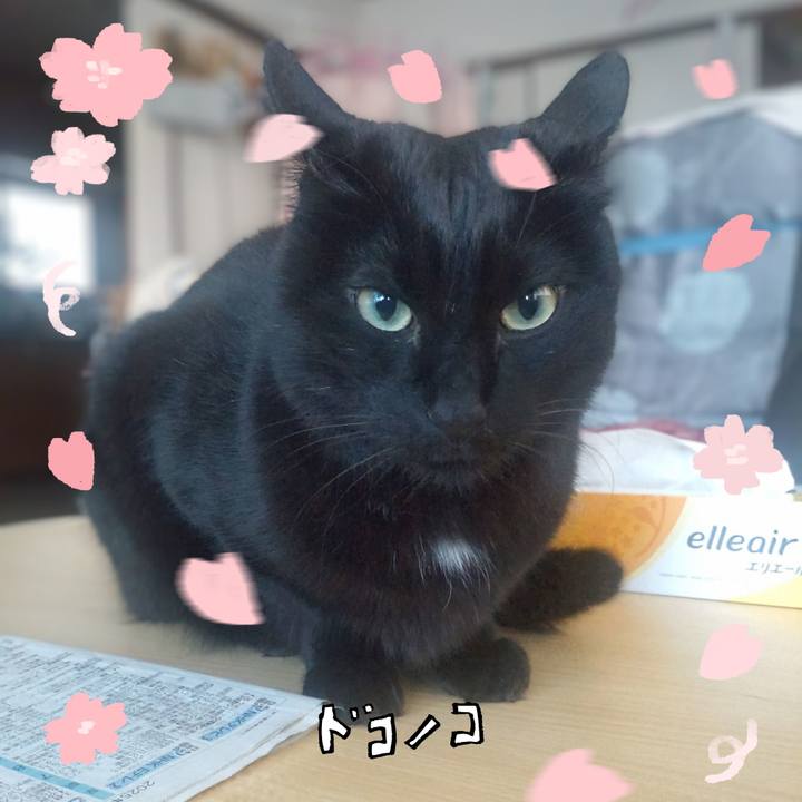 35d38a3d dd37 41f3 9d3d 43383051d66e 1744505727261