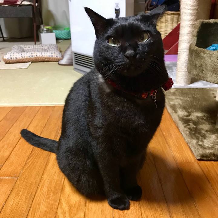 35d3910b 3876 4c53 a191 a22c75594bab 1542111863884