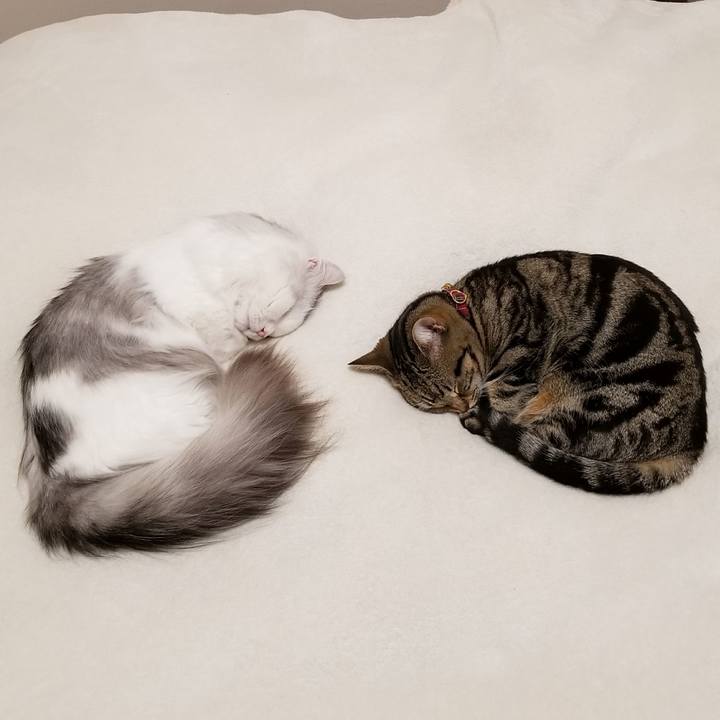 35d39d6e 182d 4cc5 afb8 365a9d89d684 1521353300436