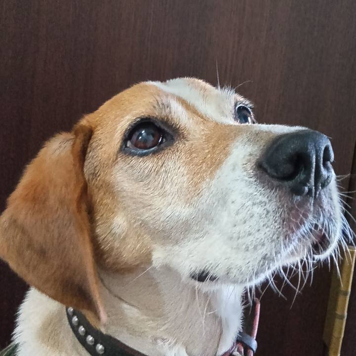 35d3a66f 52b8 423a bf21 63064de998ad 1723115662420