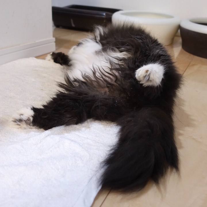 35d3b7af 4717 4513 b59b 782072486920 1559829469268