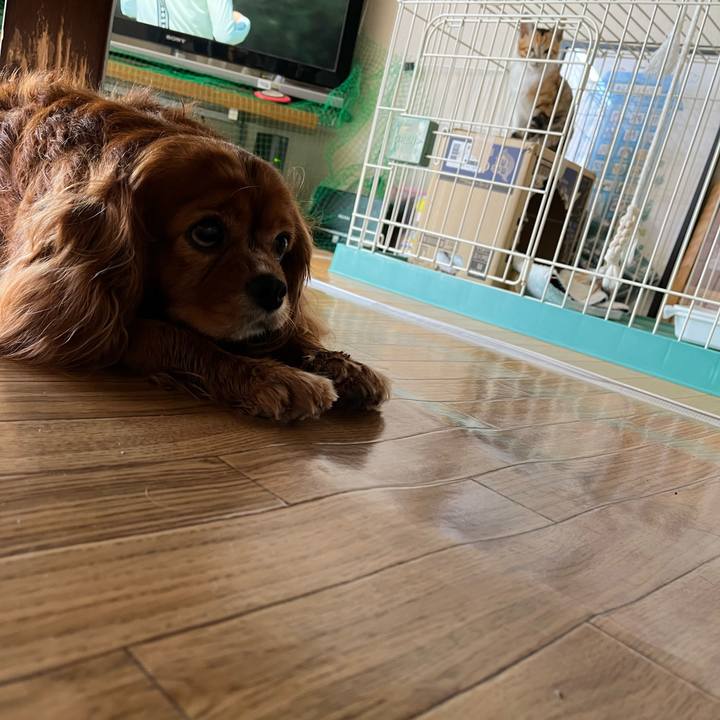 35d3dd0e b21b 42ee a6b4 ab08513ee306 1654993370126