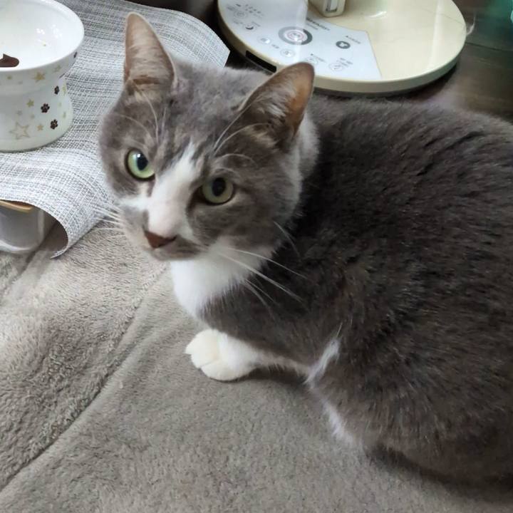 35d405c7 fe53 4169 9211 3b38b7ab5e96 1766630462529