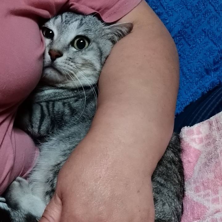 35d40ba1 daa7 43a3 811e fedfc31e876d 1661693309815