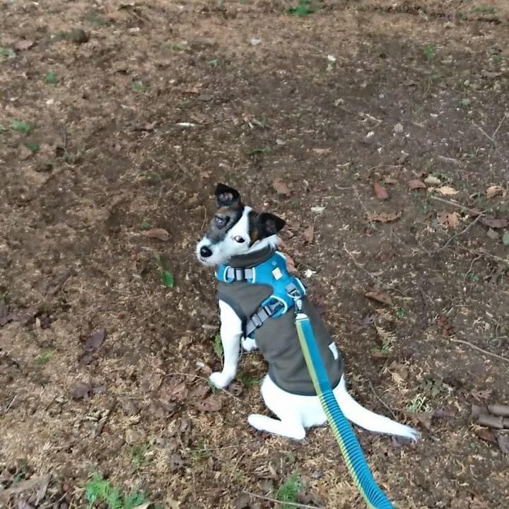 35d40ca5 cf82 4169 b0a4 766260ea9880 1517115346581