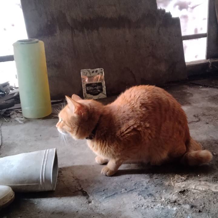 35d421b4 7e68 48a1 8567 3eb5e63d9d3f 1677280908355