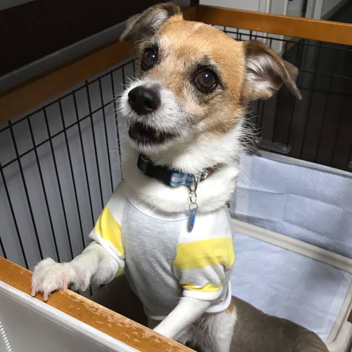 35d42b3c 8415 462f be0e b29ee9a10916 1560510027490