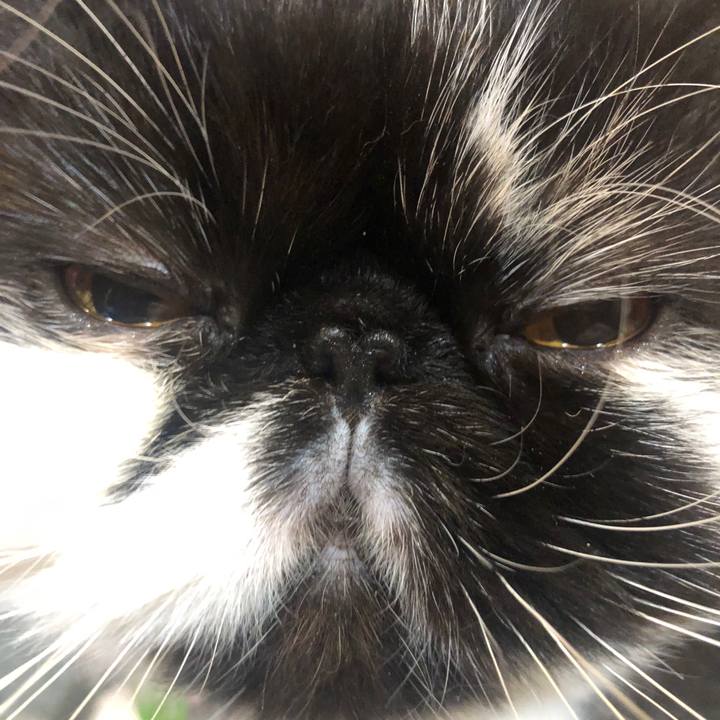 35d43585 4971 4479 a090 9630e18050ad 1666232593998