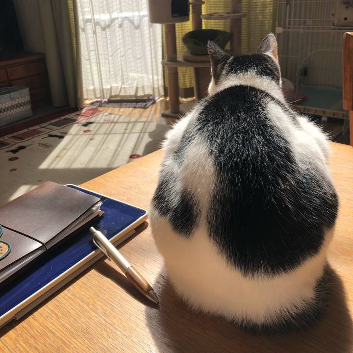 35d450f8 34e8 4673 95ba 01a6e4f31d7f 1708920503094