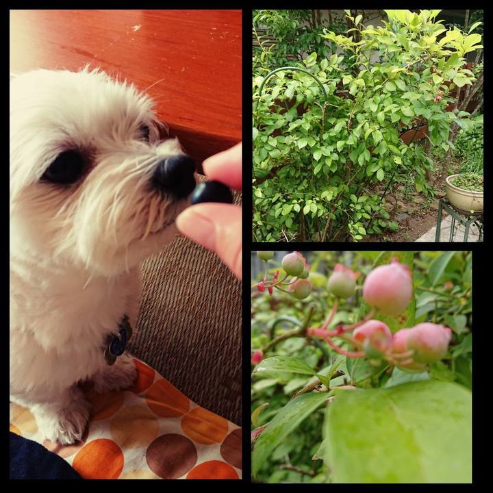 35d45ea3 ef05 4cd4 a8be 6205ac3db3c6 1530674466608