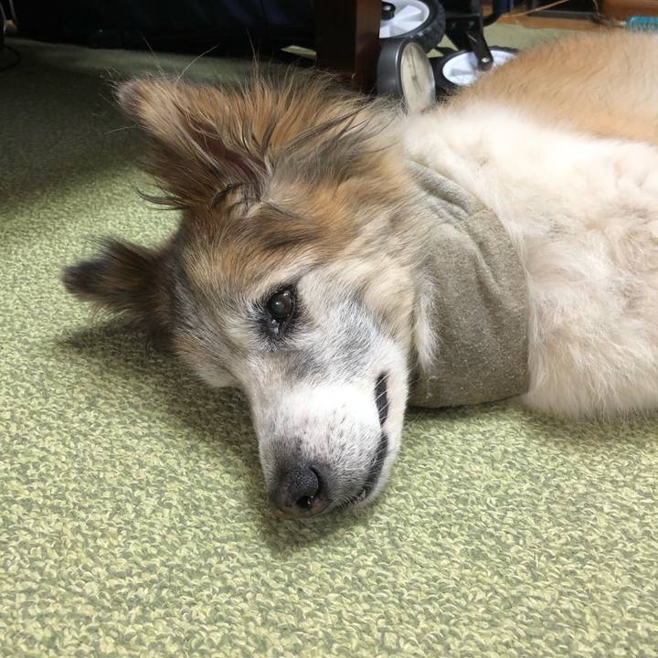 35d46880 6239 4a81 a824 4c27b2ca07ed 1531800233772