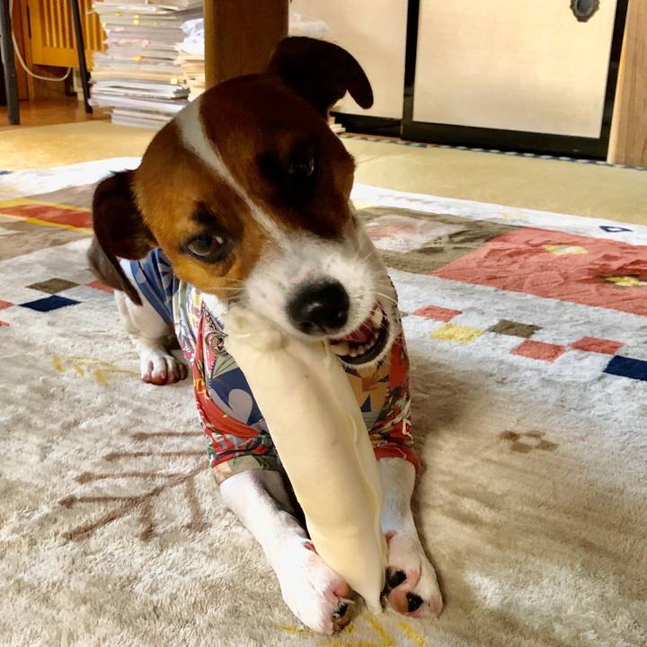 35d46b94 19b1 4db7 8dbb bb7e854e6d86 1595892275870