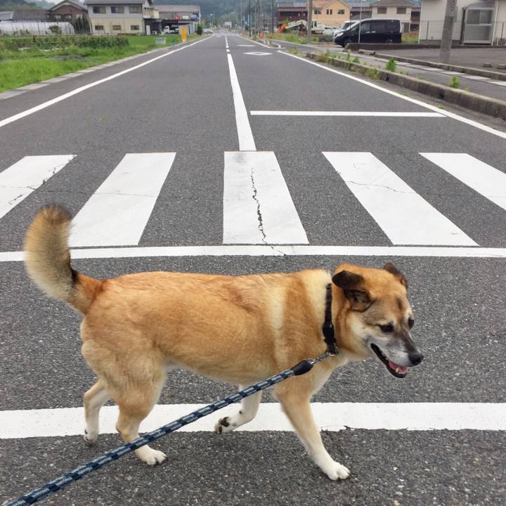 35d47075 66fe 4e24 b705 8a2560b86f87 1528595589937