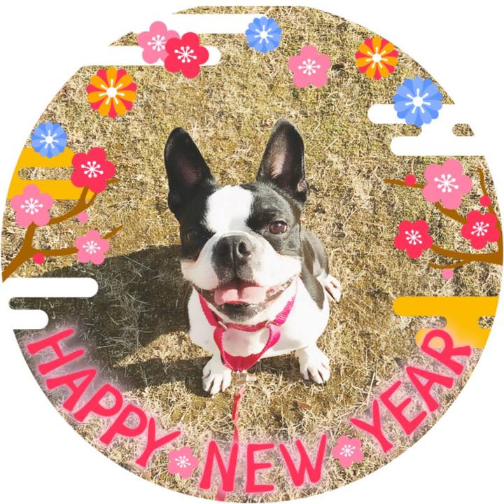 35d4907e c663 40aa 95e6 67bf3a59ca2d 1514735784409