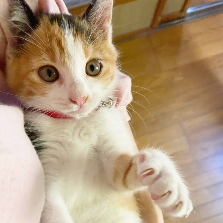 35d49670 eee3 41bf ba72 a1c432ba8a3d 1630903362196