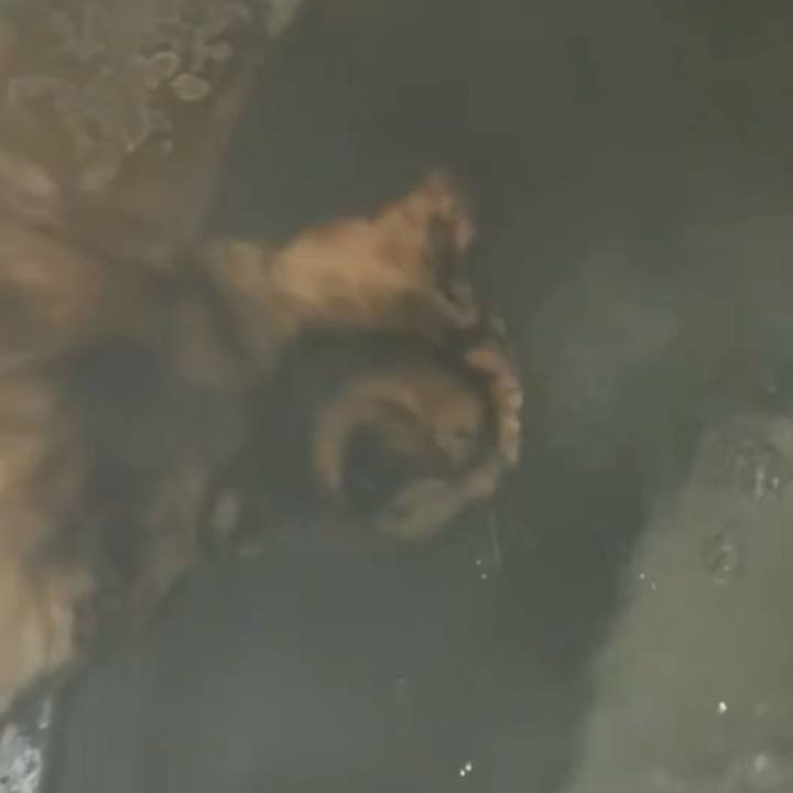 35d4d38c 0e2b 4328 92de 4ac08149d5ff 1765051870762