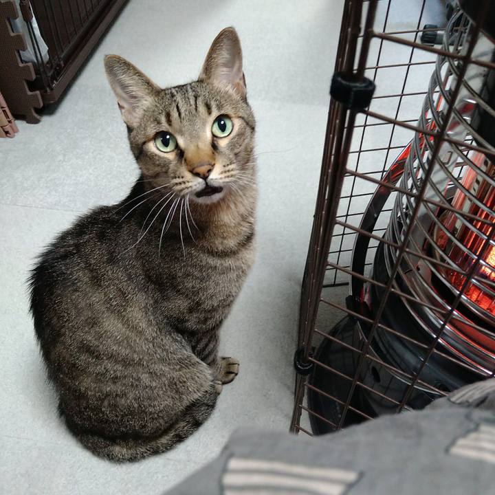 35d4e597 3991 40ff aa76 343ef3dfb524 1700646955683