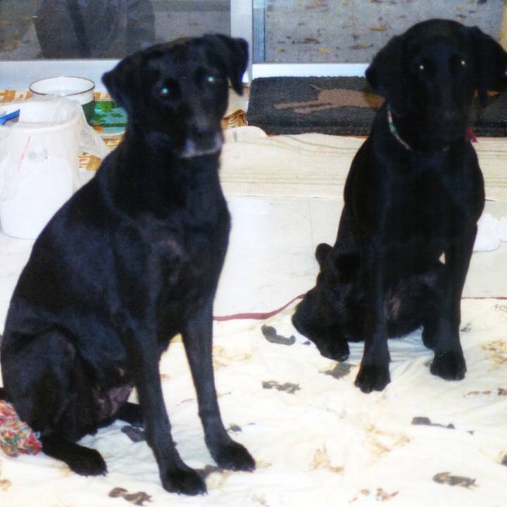 35d552ee a0e4 4ba0 a0c7 bca7a912fd19 1522495829174